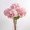 Organic Hydrangea Flowers In A Vase: A Blend Of Natural And Man-made Beauty