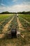 Organic irrigation
