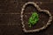 Organic kale leaf on rustic background and an wood table.