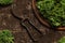 Organic kale on an old wooden soil table