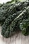 Organic Lacinato Kale macro shot