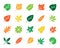 Organic Leaf color silhouette icons vector set