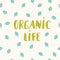 Organic life text lettering, organic eco logo, emblem, icon, natural product design with leaf on background, Vector illustration