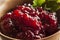 Organic Lingonberry Preserve Sauce