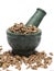 Organic Long pepper Dried roots (Piper longum) on marble pestle