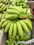 organic mini bananas have been fresh picked and ready to ship or sell
