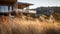 Organic Modernism: A House With A Wide Open View Of Dry Grass