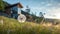 Organic Modernism: Serene Dandelion Near A Summer House