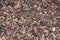 Organic mulch background with wood chips bark and leaves