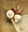 Organic mushrooms, garlic and herbs on an old rustic stone chopping board