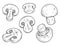 Organic mushrooms monochrome set stickers