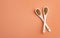 Organic mustard grains in two ceramic spoons - Healthy food