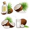 Organic natural coconut set, vector isolated illustration