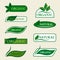 Organic natural logo design template signs with green leaves.