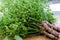 Organic Neem from Natural Farm.