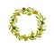 Organic olive products set. Wreath of black and green olives. Healthy organic products