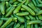 Organic Pickle Cucumbers