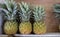 Organic pineapples in carton box sold on farmers market