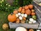 Organic pumpkins and squashes in wooden bin