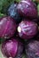 Organic Purple Cabbage