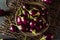 Organic Raw Baby Indian Eggplants