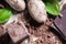 Organic raw cacao bean seed with chocolate, powder and cacao candy dessert cubes with basil green leaf