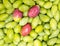 Organic raw olives closeup, Mediterranean food background