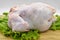 Organic raw whole chicken ready for cooking. White meat