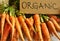 Organic , real vegetables : carrots