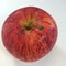 organic red apple