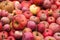 organic red apples stack at the market