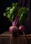 Organic red beetroot root purple fresh food vegetable healthy raw ingredient beet