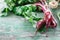Organic red beets beetroot with green leaves