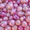 Organic red dry onions closeup for sale