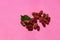 Organic Red mulberry . Mulberry fruit in summertime. Fresh Mulberry,selective focus,berries on pink background