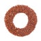 Organic Red Quinoa seed Chenopodium quinoa in Ring Shape. Letter O for Omega-3.