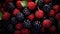 Organic red raspberries and blackberries closeup, grocery vegetarian healthy food concept, autumn harvest farm advertising