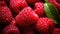 Organic red raspberry berries, closeup flat lay copy space, grocery vegetarian healthy food concept, farm harvest