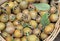 organic ripe loquats in a basket