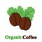 Organic Roasted Coffee Beans Cartoon
