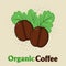 Organic Roasted Coffee Beans Cartoon.