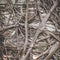 Organic root pattern - tree roots nature background