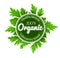 Organic round logo sign label with green leaves