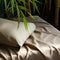 Organic Sculpting: Natural Beige Bamboo Sheet Set With Dramatic Lighting