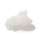 Organic sea white salt tablets on white background