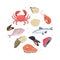 Organic seafood in circular shape. Poster, card, background with shrimp, octopus, crab, salmon steak fish vector