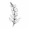 Organic Simplicity: Delicate Flower Sketch Tattoo Design