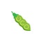 Organic soya bean flat icon