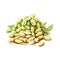 Organic Soybeans Legumes Square Watercolor Illustration.