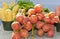 Organic squash and golden beets at open air market